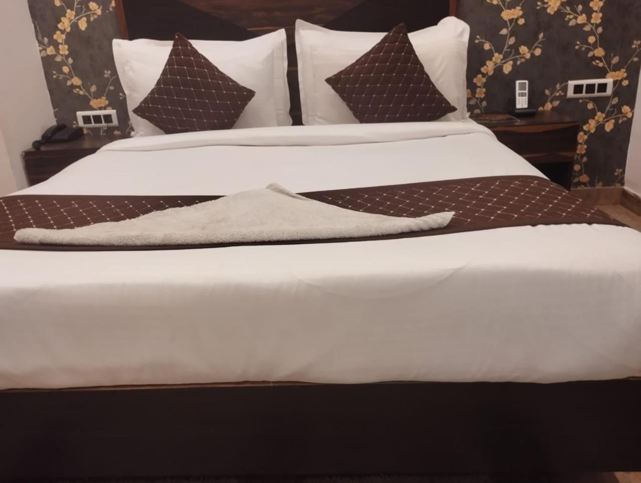 Hotel Plaza International Near Delhi Airport 新德里 外观 照片