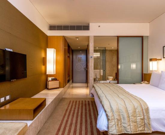 Hotel Plaza International Near Delhi Airport 新德里 外观 照片