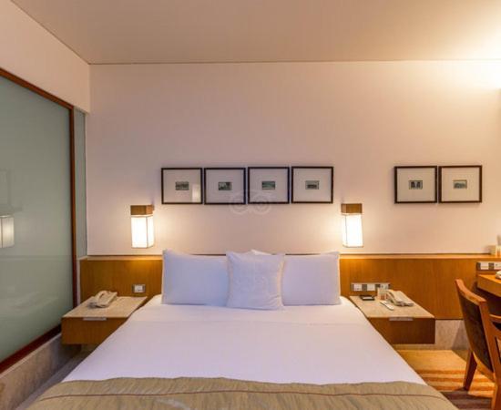Hotel Plaza International Near Delhi Airport 新德里 外观 照片
