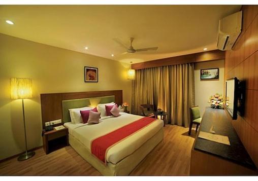 Hotel Plaza International Near Delhi Airport 新德里 外观 照片